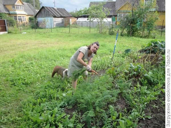Мой Чарлик на даче