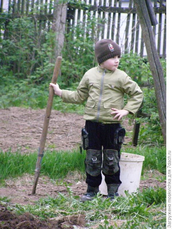 Вот так иной полюбит труд, Когда лопату отберут.