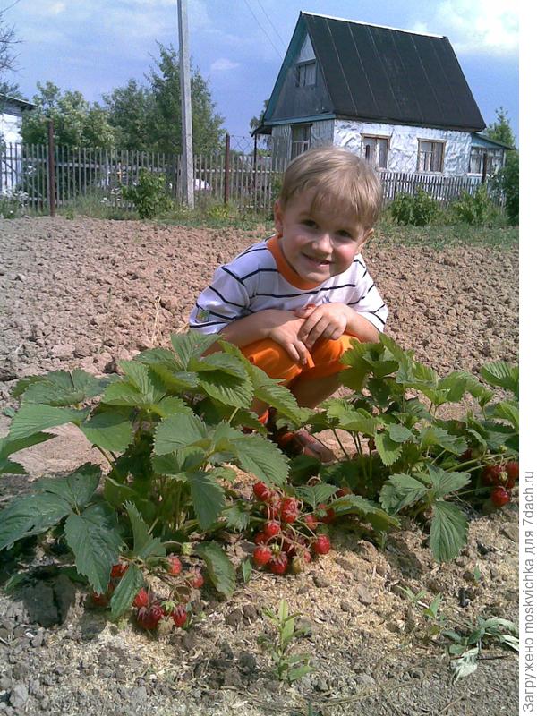 что посеешь то и пожнешь