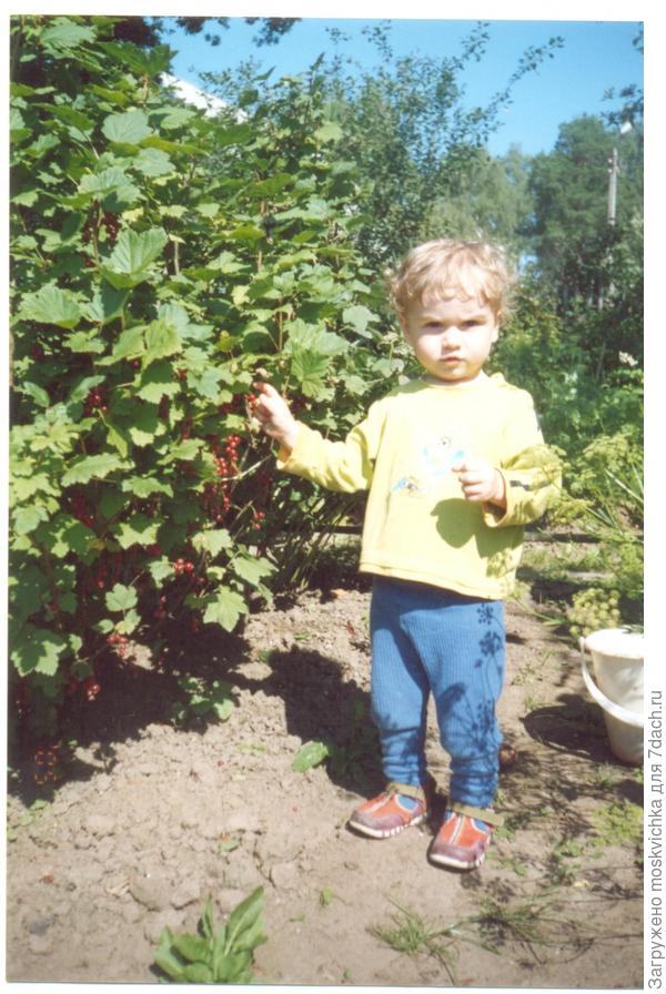 Вот так иной полюбит труд, когда лопату отберут.