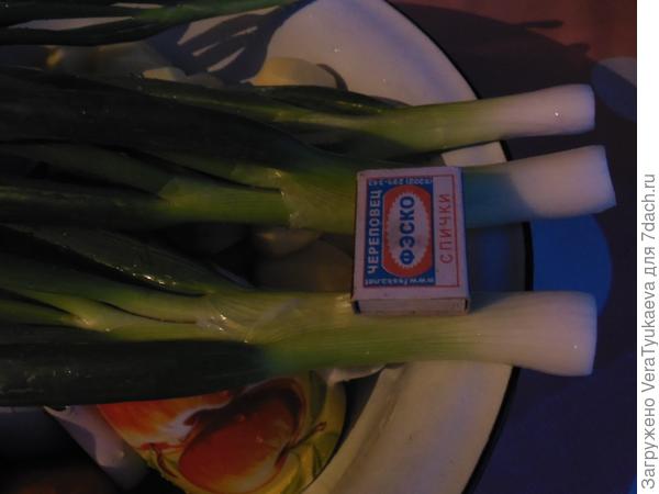 Лук на перо.