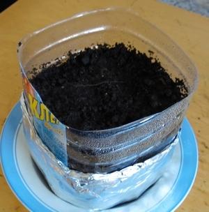 Вот сколько нужно в горшок, получившийся из нижней части, положить грунта.