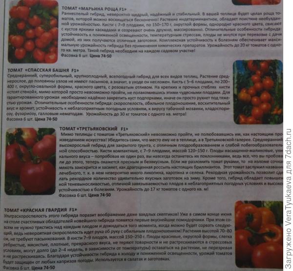 Вторая страница каталога.