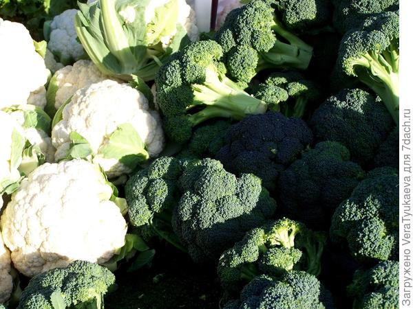 Головки цветной капусты и брокколи.