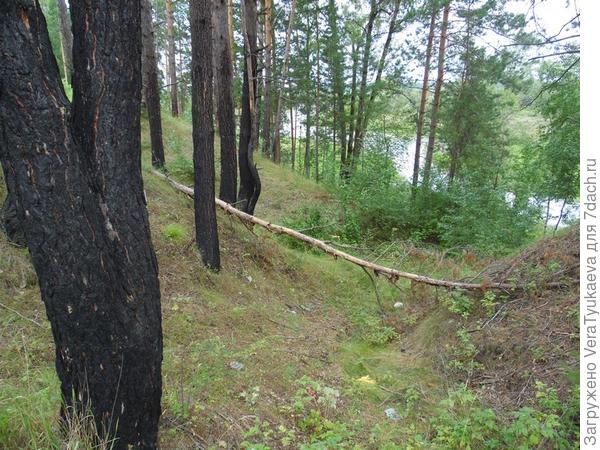Природа поставила шлагбаум.