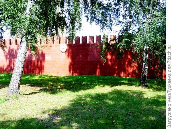 Кремлевская стена.