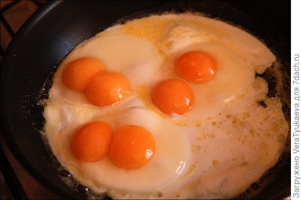Какие куры несут яйца с двумя желтками?