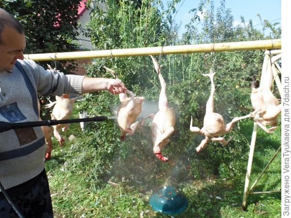 Мытье туше с помощью автомойки.