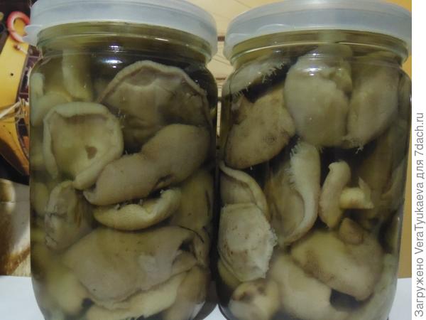 Маринованные маслята.