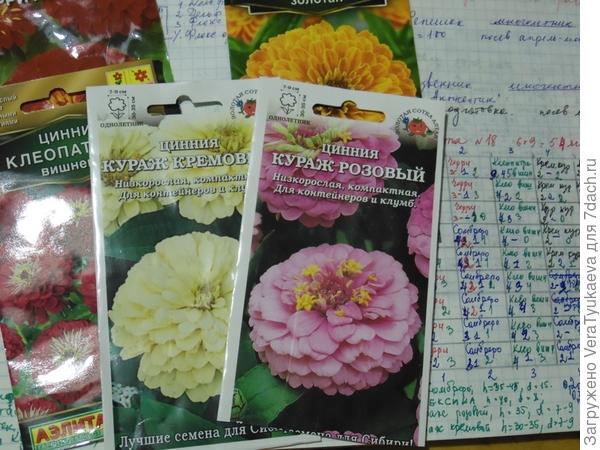 Тетрадные записи и пакетики