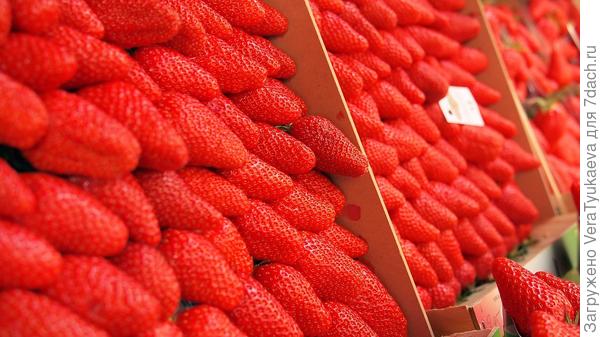 "Унифицированные" ягоды.