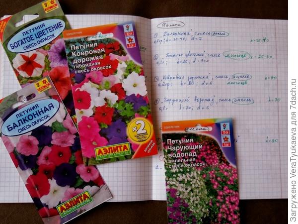 Вот такие семена петуний Аэлиты уже куплены, семена в виде россыпи, в прошлом году растение были на диво хороши!
