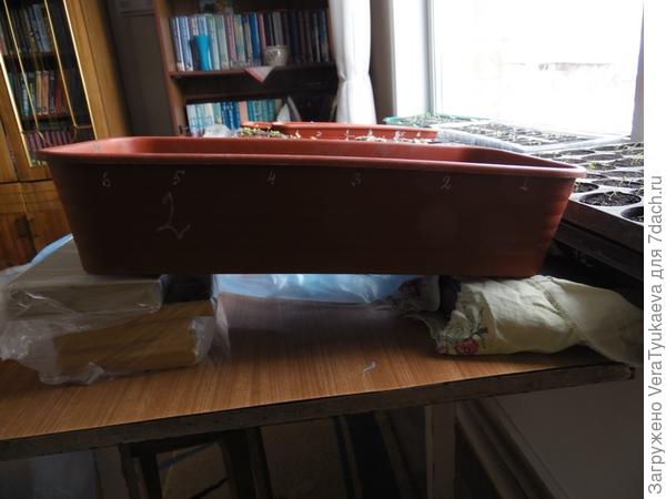 Ящичек голову приподнял, однако.