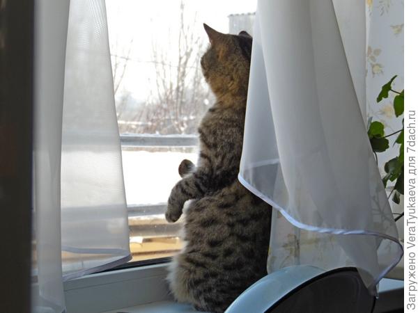 Айка.