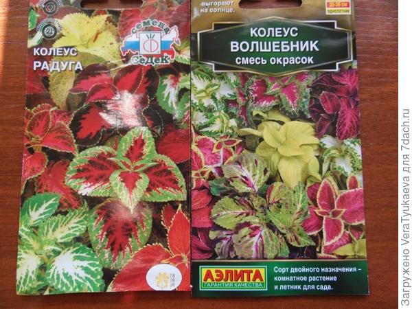 Были посеяны вот такие две смеси сортов.