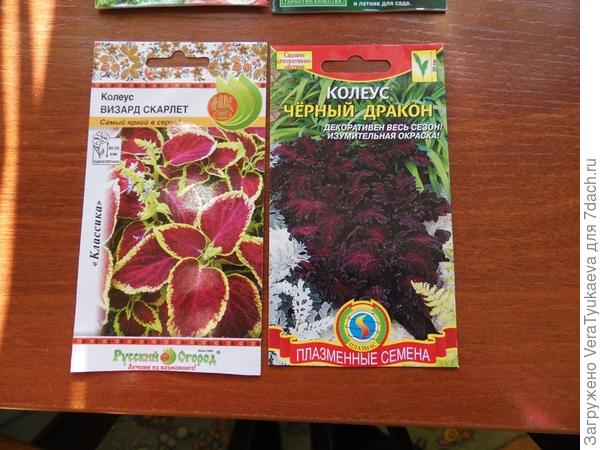 Вот такие два сорта были посеяны.