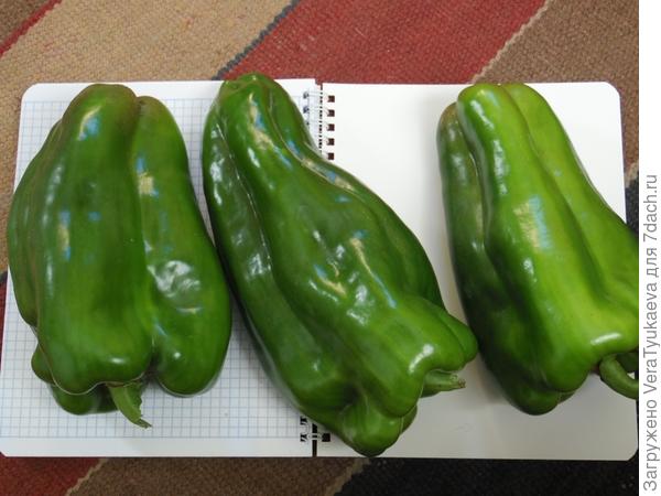 Перчины разных сортов.