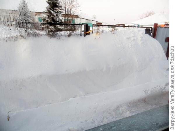 Пейзаж на окном еще одной комнаты. Снега намело так много, что пройти по дорожке не могли, пришлось пробираться с другой стороны дома. Немного прокопали путь, а снег откинули к забору - его почти не видно. От окна убрала, освободила... выше подоконников был сантиметров на тридцать. Сначала лопатой, потом метлой..