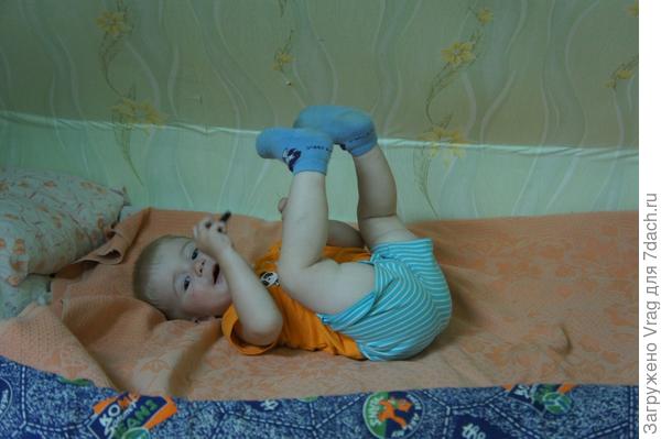 Вот баба лук то насадила