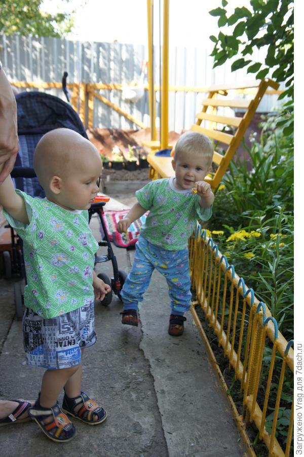 Баба говорит два грибочка!