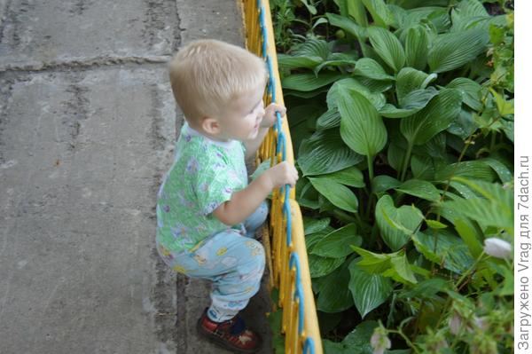 Баба говорит два грибочка!