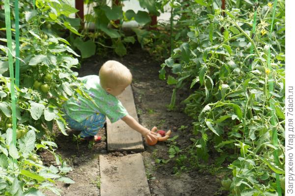 Баба говорит два грибочка!