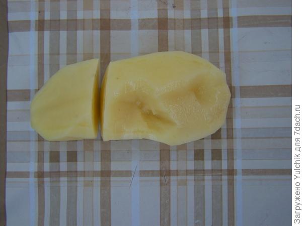 картофель