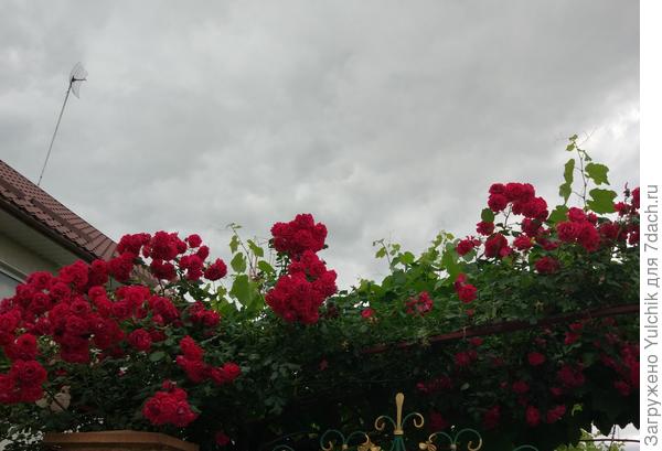 Да и как-то фотографии не эффектные получились...