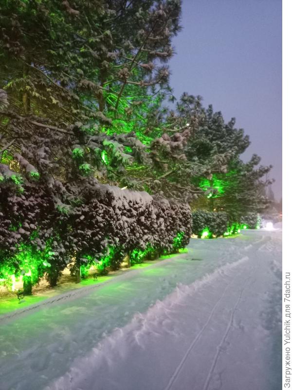 К-р-а-с-о-т-а!