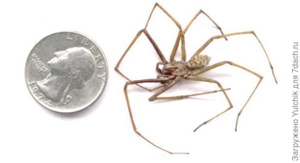 Фото с сайта otvet.mail.ru