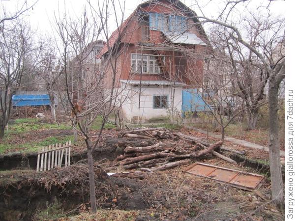 вид дома через просветы деревьев