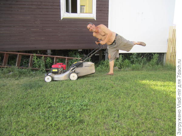 Моя любимая