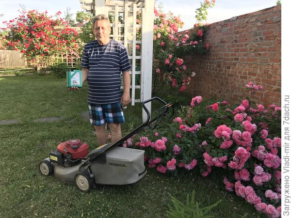 Моя помощница газонокосилка Honda!!!