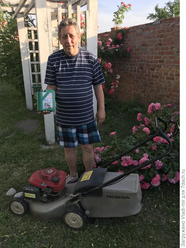 Такая красавица всем нужна!!!