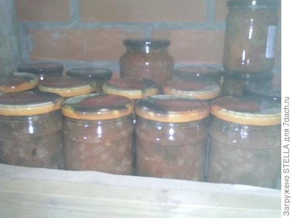 Начинающий садовод - ГИГАНТУС! :-)))