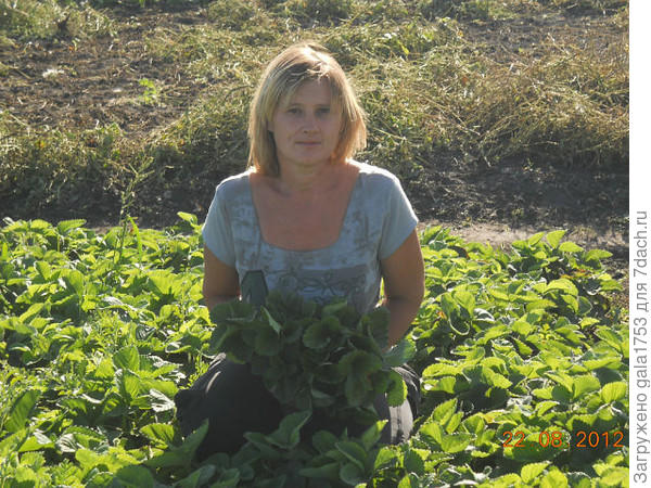 НА ВЫСШЕЙ СТУПЕНЬКЕ ПОЧЕТА