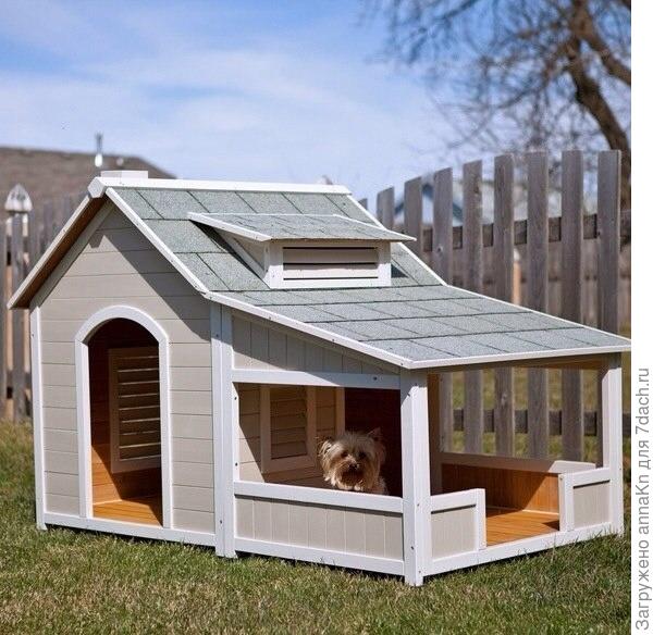 Загородный дом для барбоса!