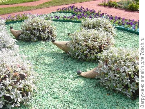 Поселите ежиков в саду!