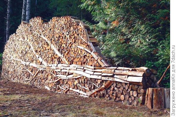 Где и как хранить дрова на даче (19 фото) » Невседома
