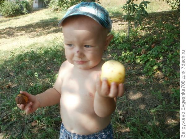 Алёшка и дача))))