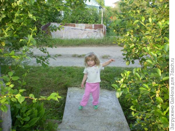 Во саду ли в огороде!