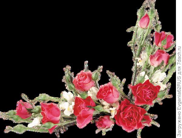 еще раз на мыло