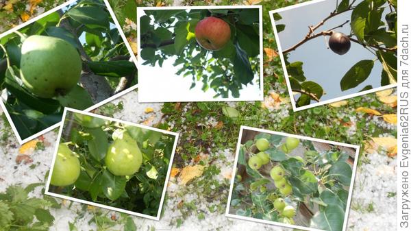 на фоне града))