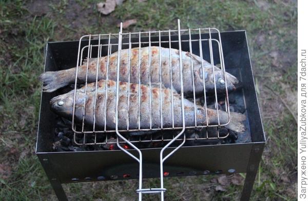Ни дня без мангала.