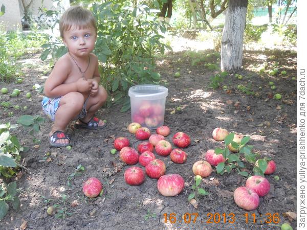 в гостях у бабушки и дедушки в деревне