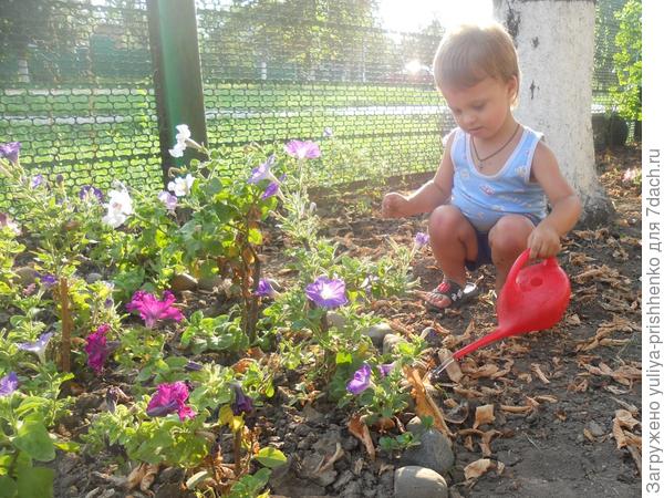 в гостях у бабушки и дедушки в деревне