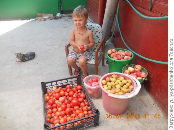 в гостях у бабушки и дедушки в деревне
