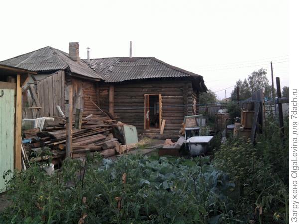 Дачка из тыквы в карету