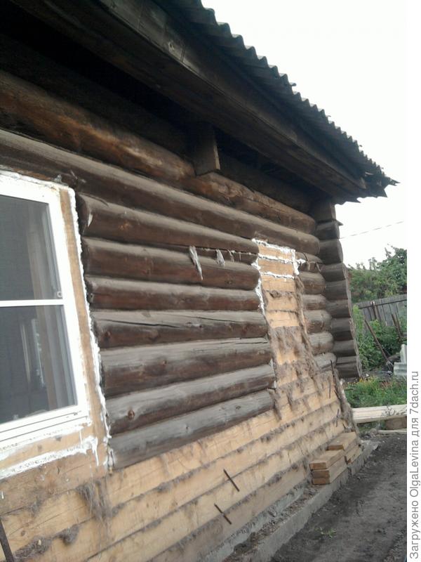 Дачка из тыквы в карету
