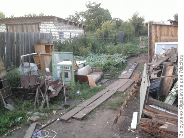 Дачка из тыквы в карету